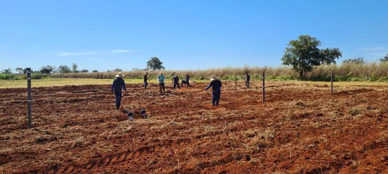 Equipe da AgriJr em propriedade rural durante preparo de solo para cultivo